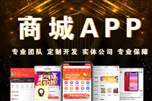 二手车APP定制开发返利商城开发