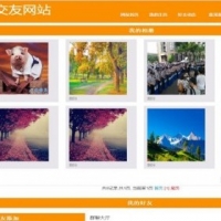 JAVA交友网站源码（前台+后台）妖精的国度
