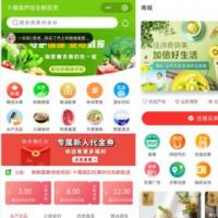 微信抖音支付宝百度DIY小程序saas招商代理系统多商户砍价拼团秒杀积分商城源码