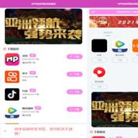 2021软件app导航页面带后台，app下载推广引流源码，app应用推广页面